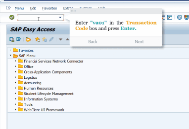 OnScreen: Schritt-für-Schritt-Anleitung in SAP vom Easy Access bis zur Auftragserfassung (VA01)